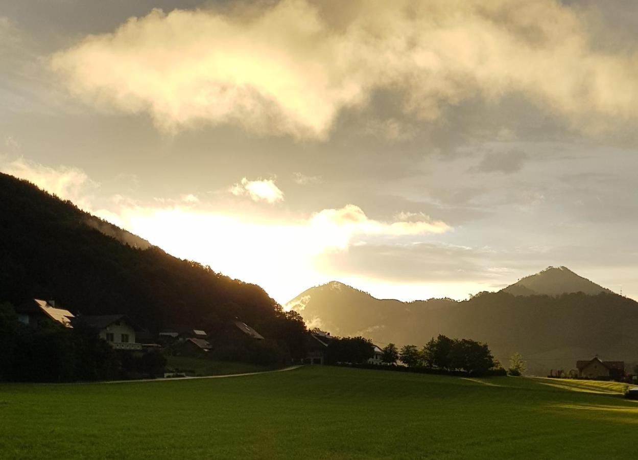 Bed and Breakfast Hof Zur Steinwaend Micheldorf in Oberosterreich Екстер'єр фото