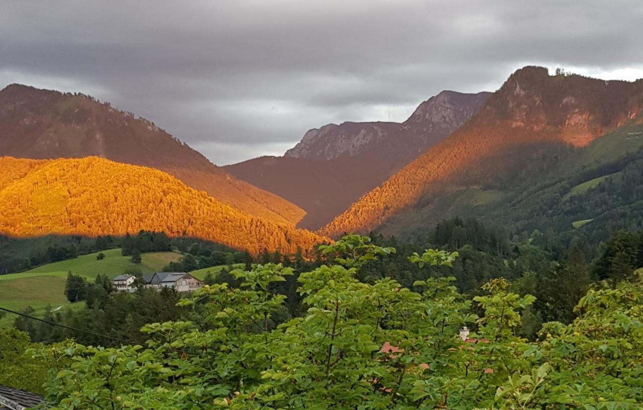 Bed and Breakfast Hof Zur Steinwaend Micheldorf in Oberosterreich Екстер'єр фото